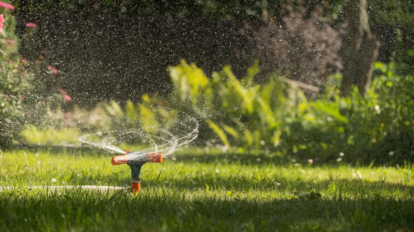Sommersaison: Bewässerungscomputer für 44 statt 60 Euro: Garten-Angebote am Montag