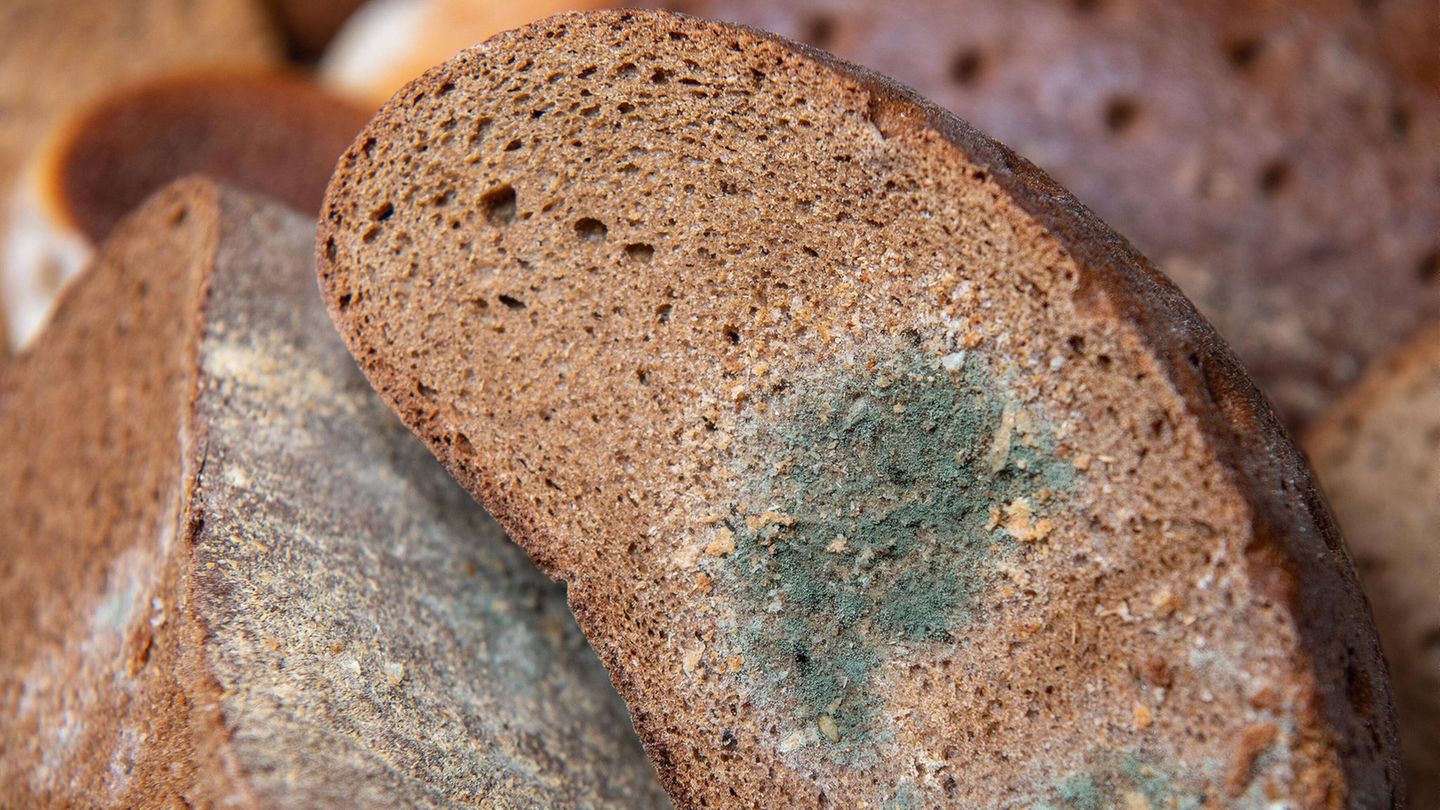 Hitzewelle: Darum schimmelt Brot im Sommer so schnell – und das kann man dagegen tun