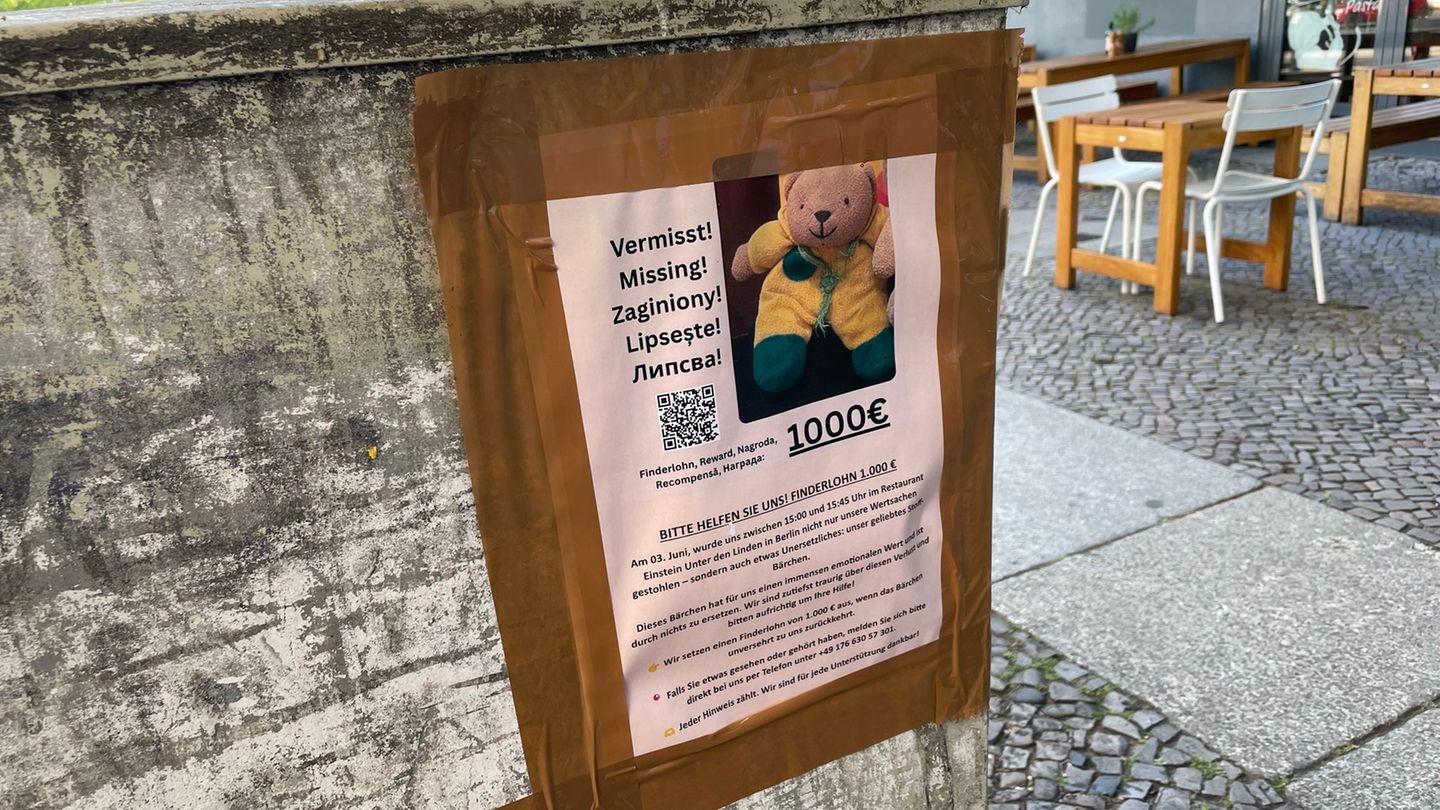 Berlin: Teddy verzweifelt gesucht: 1000 Euro für „Mini“ ausgesetzt