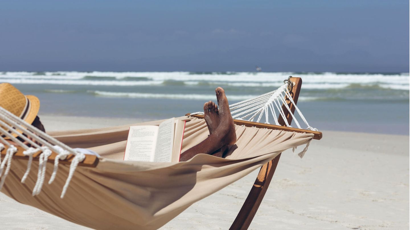 Krimis & Thriller: Nichts für schwache Nerven: Diese spannende Urlaubslektüre muss in den Koffer