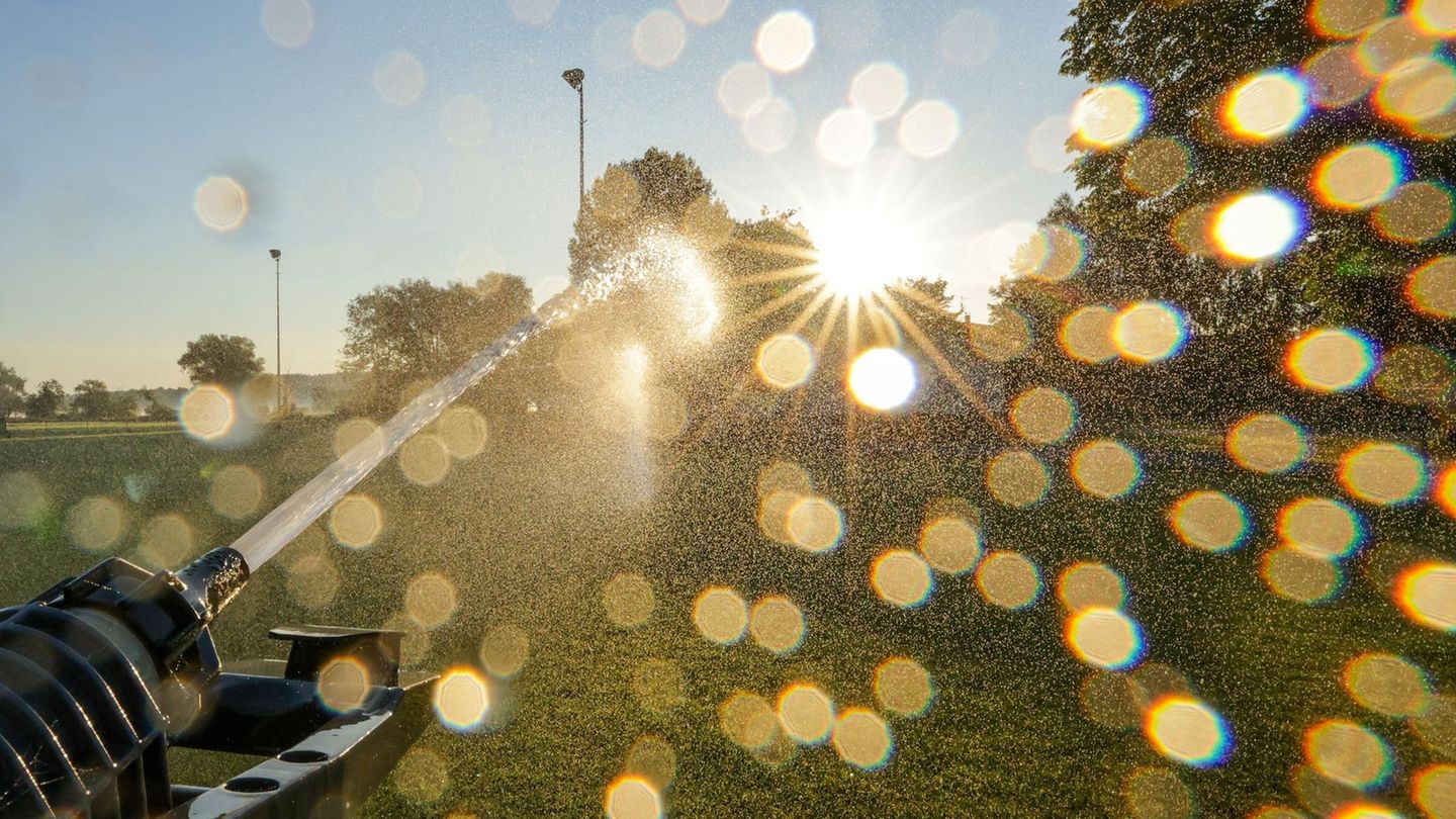 Dürre in Deutschland: Diese Regionen müssen jetzt Wasser sparen