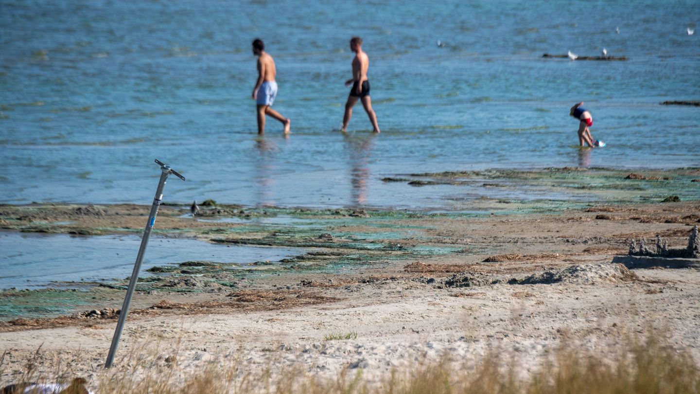 Warnung: Vorsicht beim Baden – stellenweise Blaualgen nachgewiesen