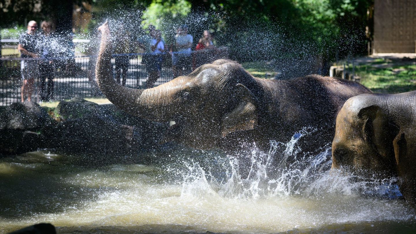 Wetter: Hitzetage in Berlin und Brandenburg erwartet