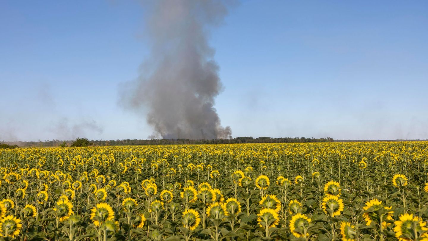 Feuer: Waldbrand in Gohrischheide – Löscharbeiten dauern an