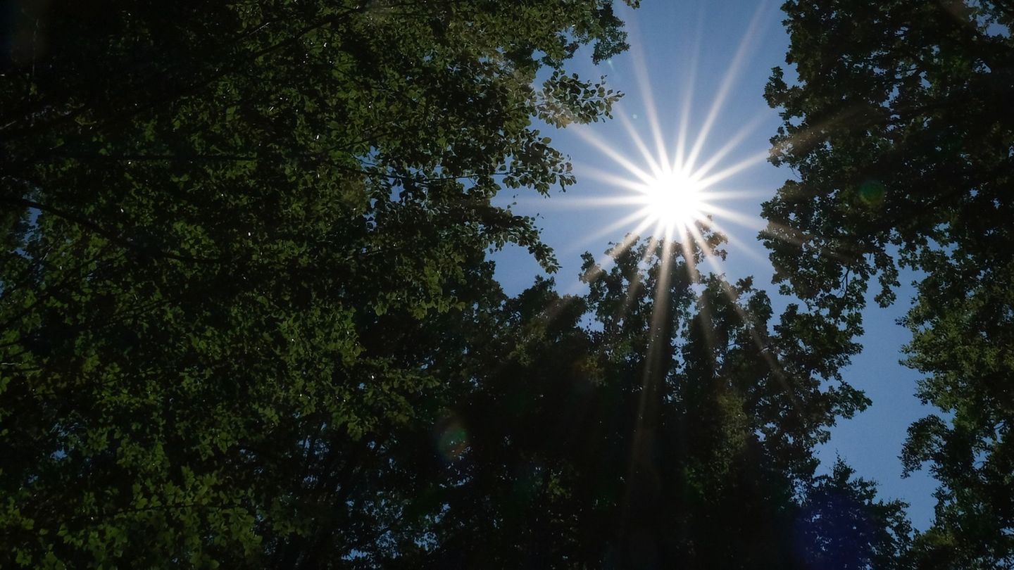 Hitzewelle: Temperaturen steigen weiter: Gute Chancen für Hitzefrei?