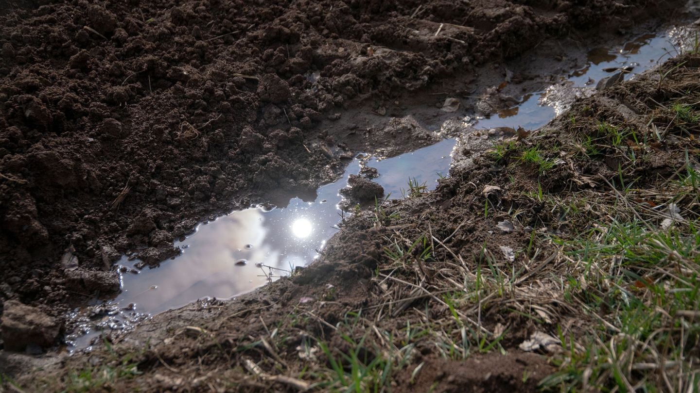 Wetter: Hitzegewitter in Hessen möglich