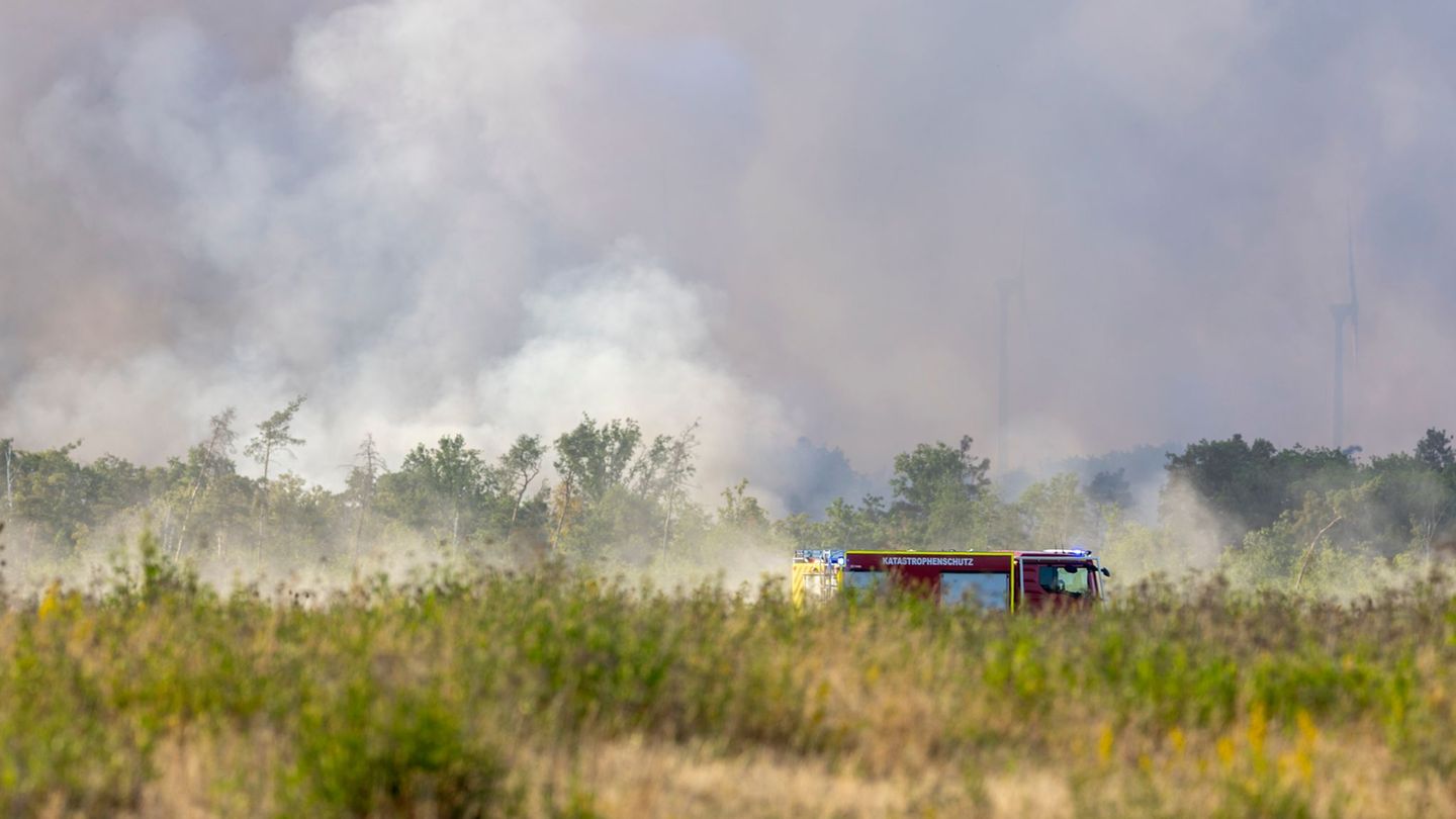 Feuer: Waldbrand in Gohrischheide – Löscharbeiten auch in Nacht