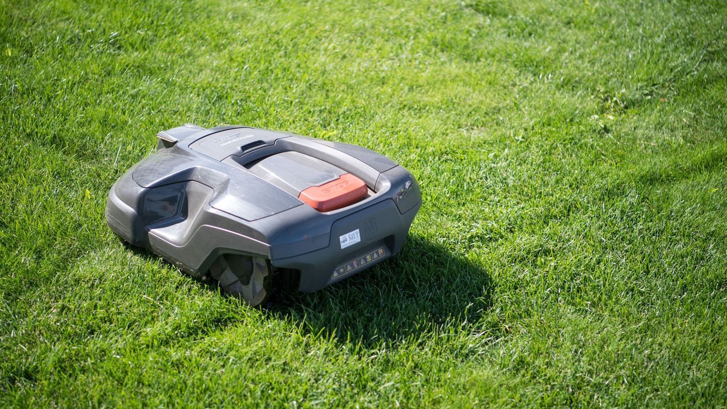 Tierschutz: Nachtfahrverbot für Mähroboter in Erfurt tritt in Kraft