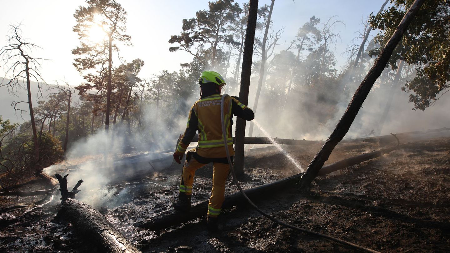 Waldbrände: Waldbrand bei Thale im Harz weitgehend gelöscht