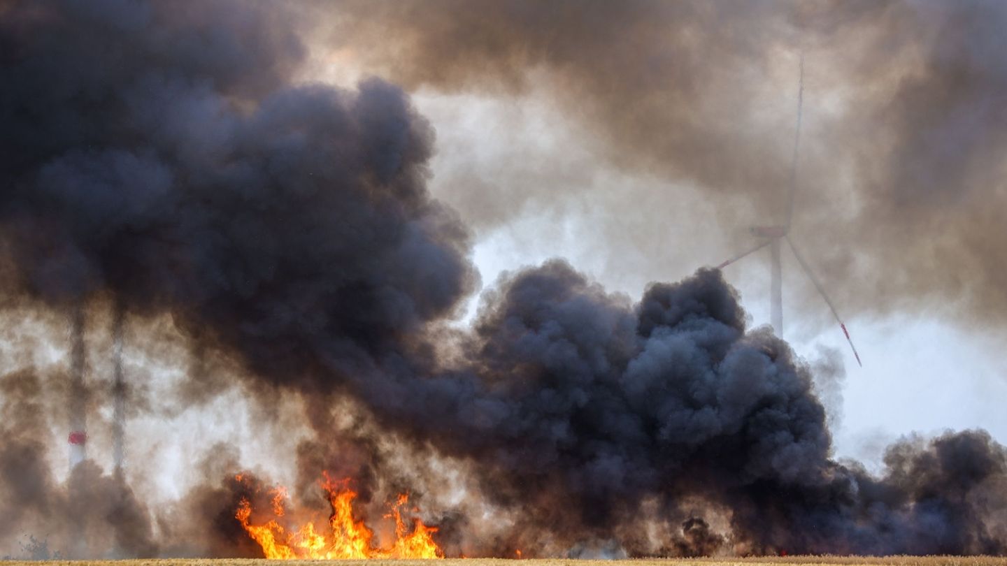 Brand: Feuer auf Getreidefeld – Zehn Hektar betroffen
