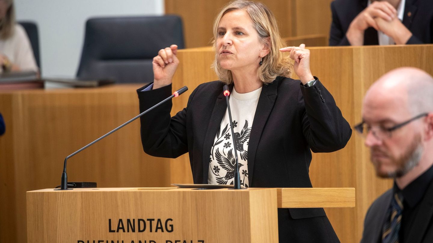 Umstrittene Novelle: Landtag beschließt Klimaschutzgesetz