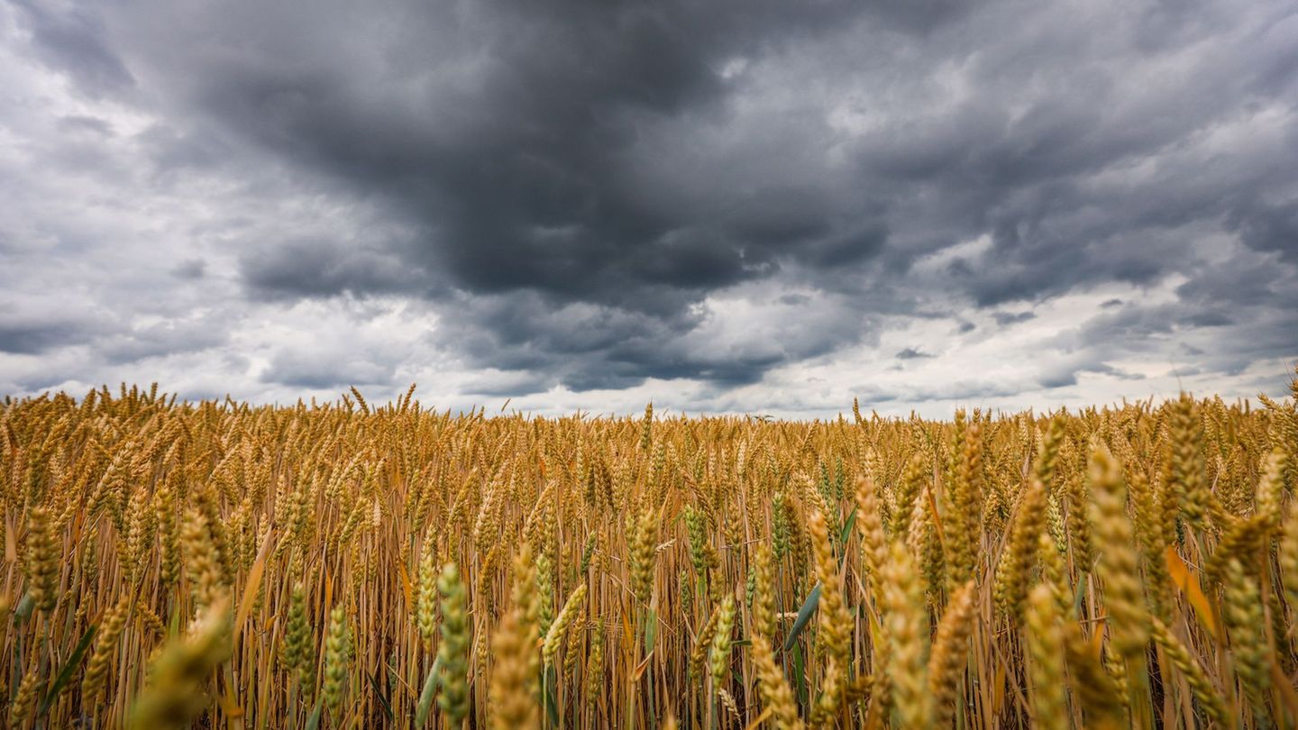 Wetterbericht: Kaltfront bringt Gewitter – Tropennächte bald vorbei