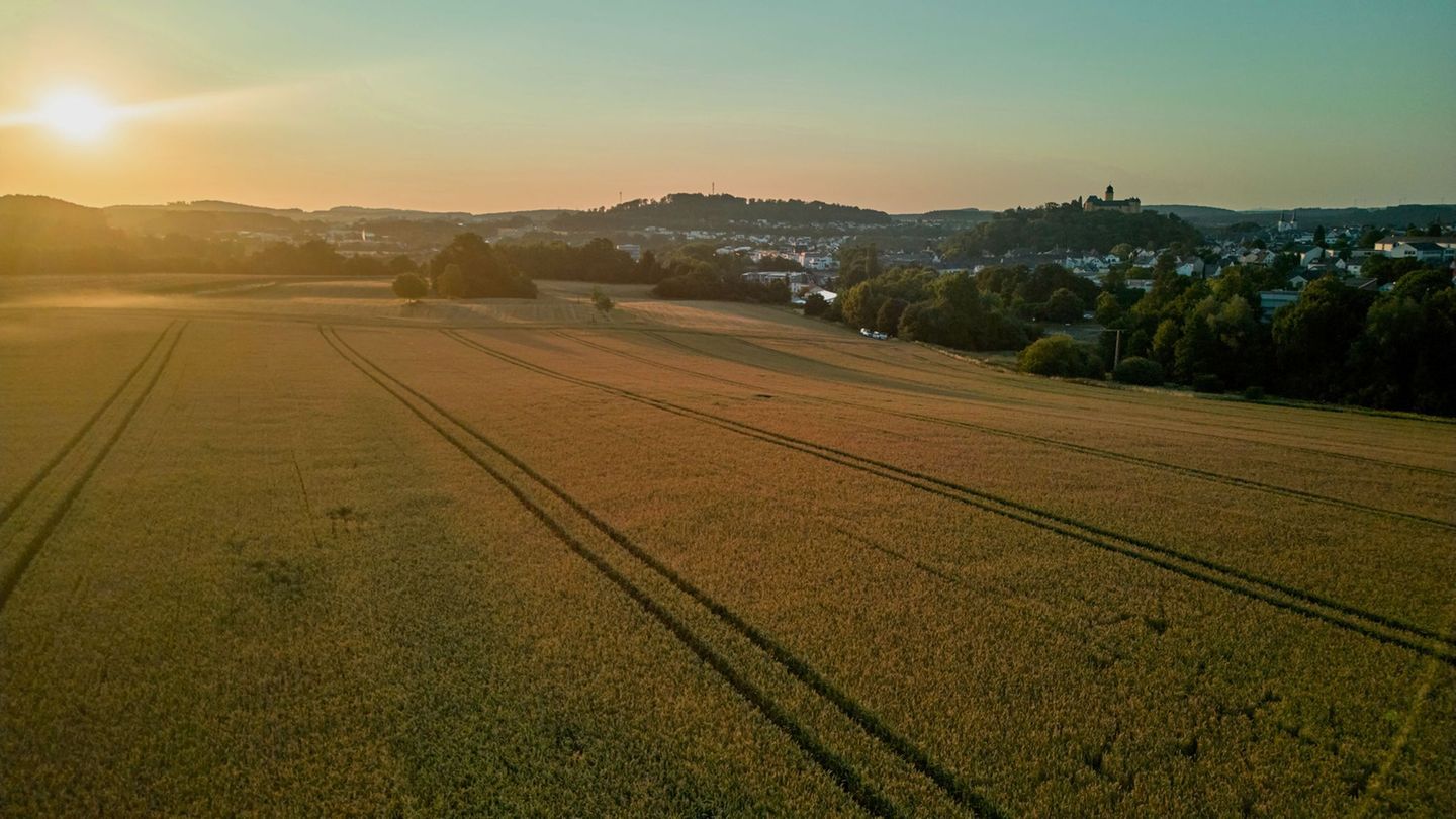 Gesundheit und Wetter: Heiß, heißer, Notaufnahme? Rheinland-Pfalz schwitzt