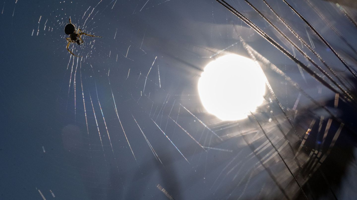 Hitzewelle: BRK rät zu Vorsicht bei großer Hitze
