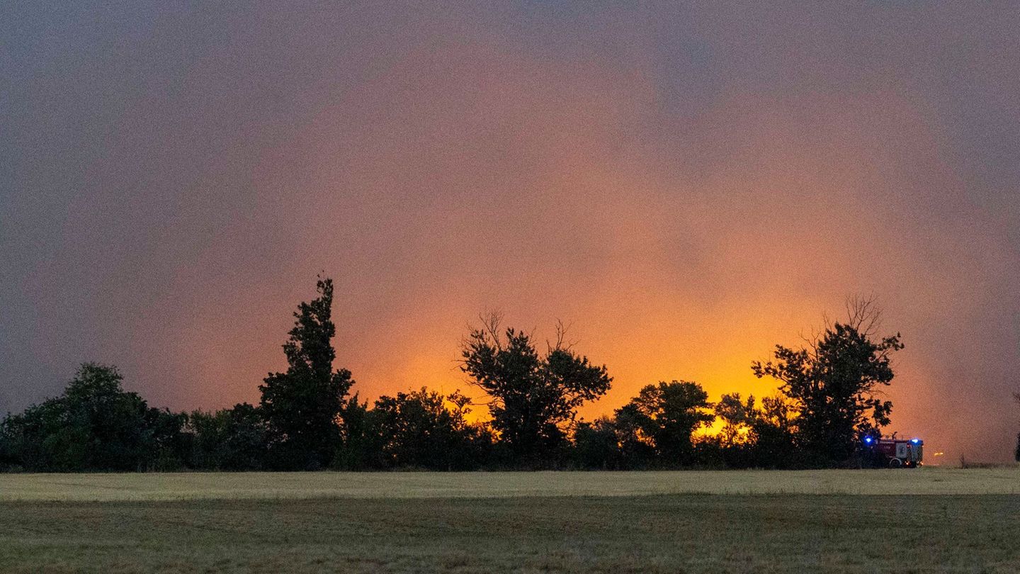 Sachsen und Brandenburg: Waldbrand in Gohrischheide – Evakuierung in weiterem Ort