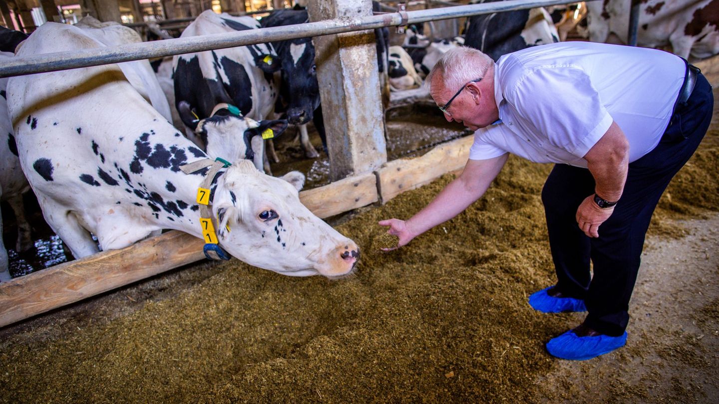 Klimaschutz: Molkereigenossenschaft honoriert Klimaschutz durch Bauern