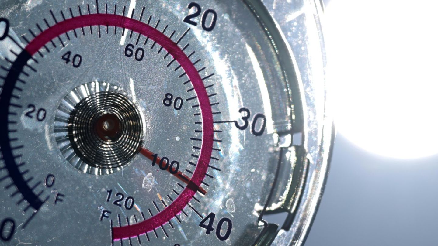Höhepunkt der Hitzewelle in Deutschland – Temperaturen bis zu 40 Grad erwartet