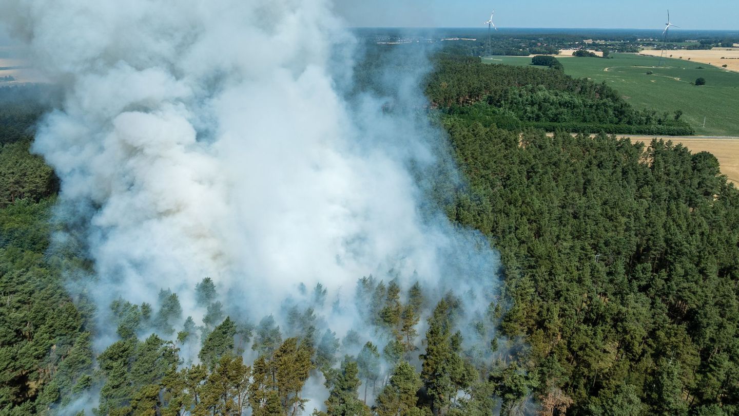 Trockenheit: Über 200 Waldbrände in Brandenburg – Feuer an Landesgrenze