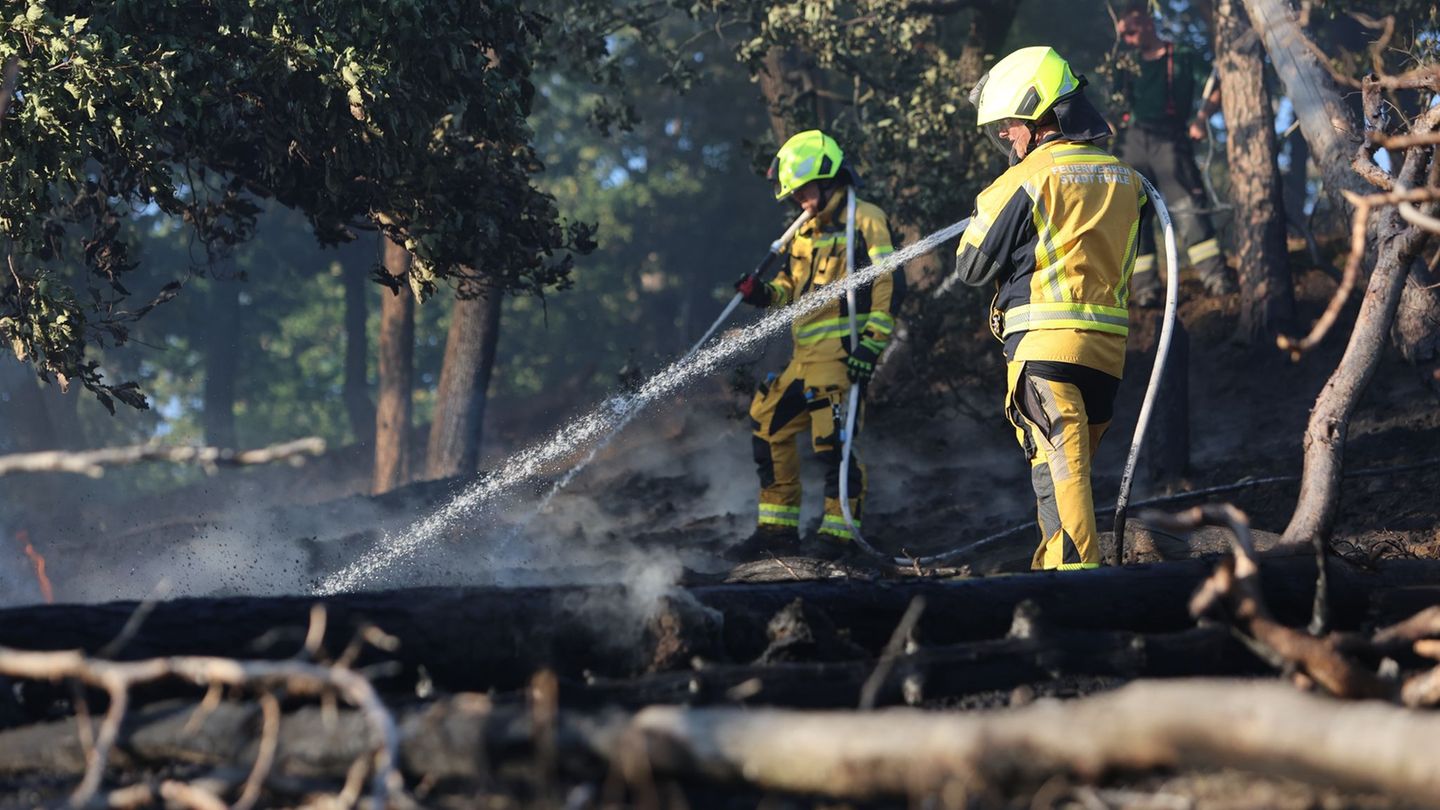 Waldbrände: Waldbrand bei Thale im Harz noch immer nicht gelöscht