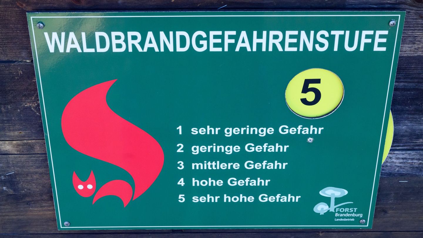 Waldbrände: Waldbrandgefahr in Brandenburg gesunken – Ausnahme im Süden