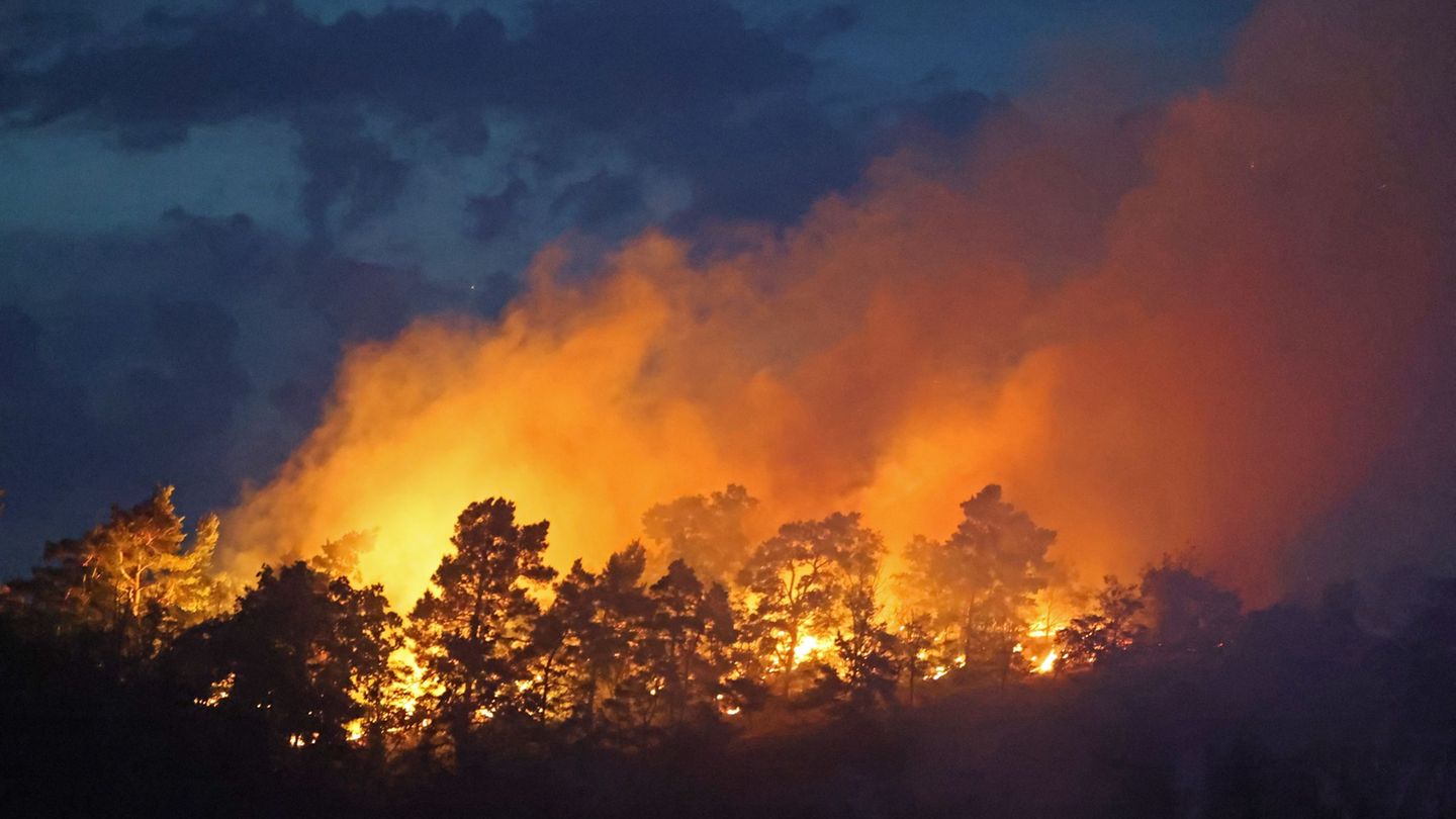 Waldbrände: Nächster Waldbrand im Harz – Feuer in Thale gelöscht