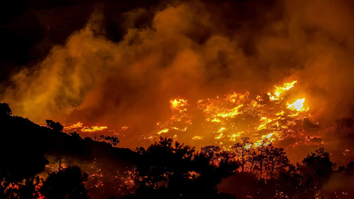 Brände: Waldbrand auf Kreta – Hotels und Dörfer evakuiert