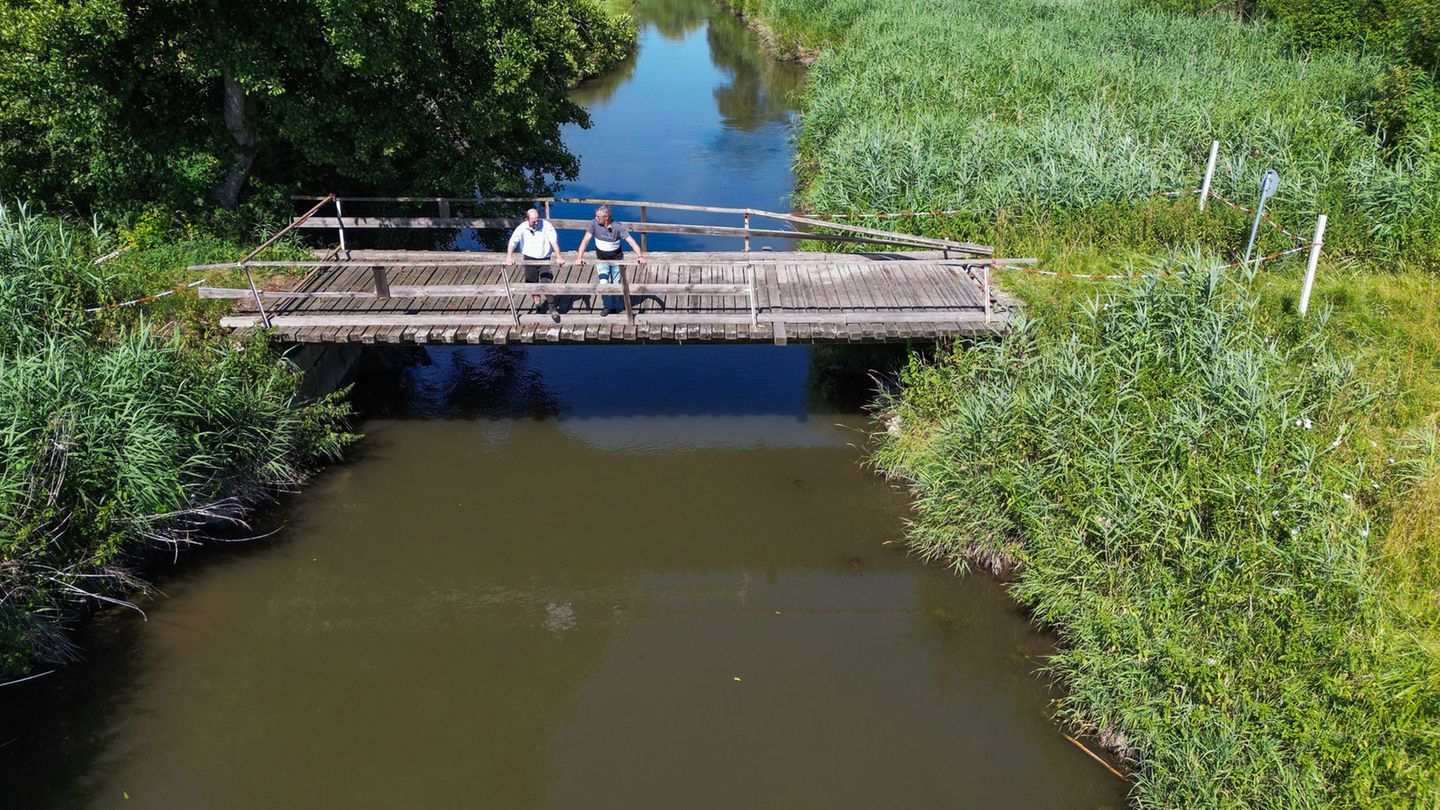 Ernteausfall: Bahn will Brücke abreißen: Bauern können Wiesen nicht mähen