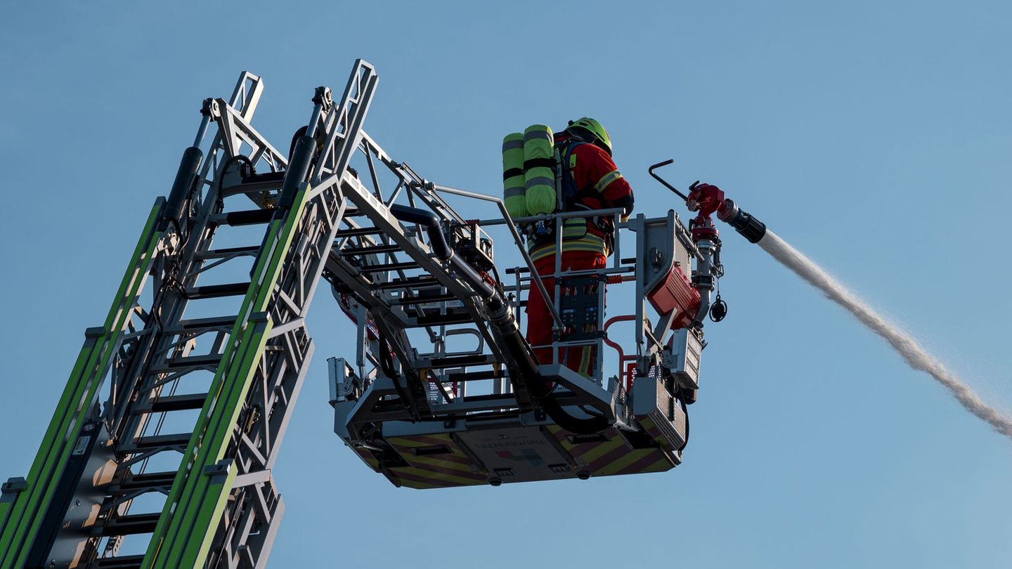Einsatz: Feuerwehr rettet Hausbewohner, Hund und Katzen