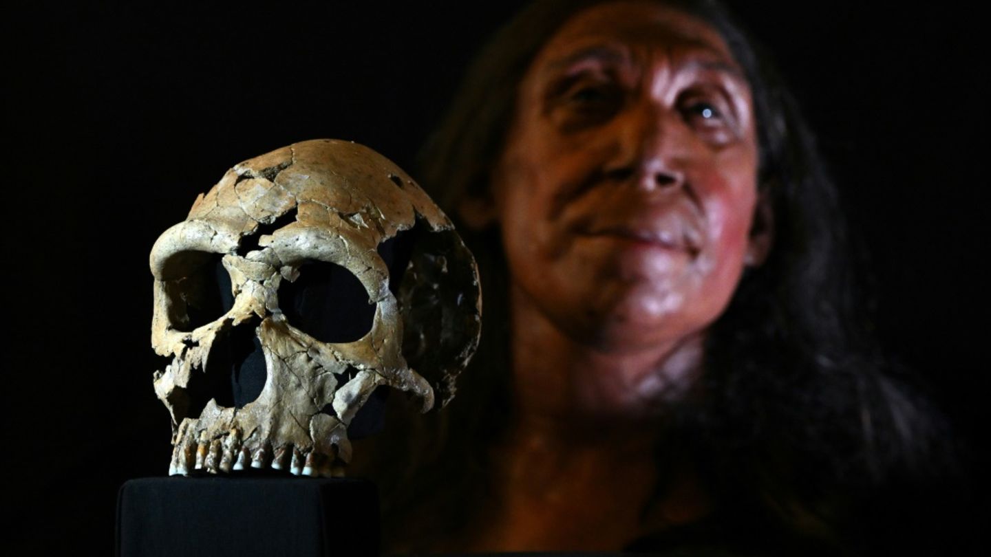 Neandertaler perfektionierten schon vor 125.000 Jahren Fettgewinnung