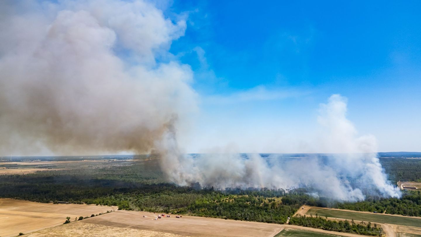 Sachsen und Brandenburg: Waldbrand in Gohrischheide „eskaliert“ – Evakuierungen