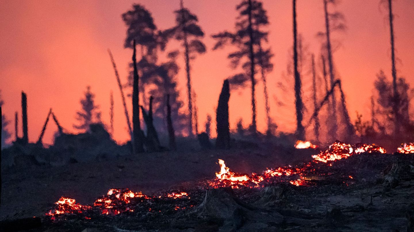 Waldbrände: Waldbrand auf Saalfelder Höhe – Landkreise warnen vor Rauch