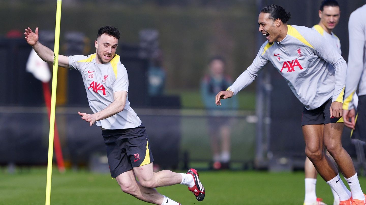 Fußballer tödlich verunglückt: „So grausam“: Liverpool-Kapitän van Dijk trauert um Jota