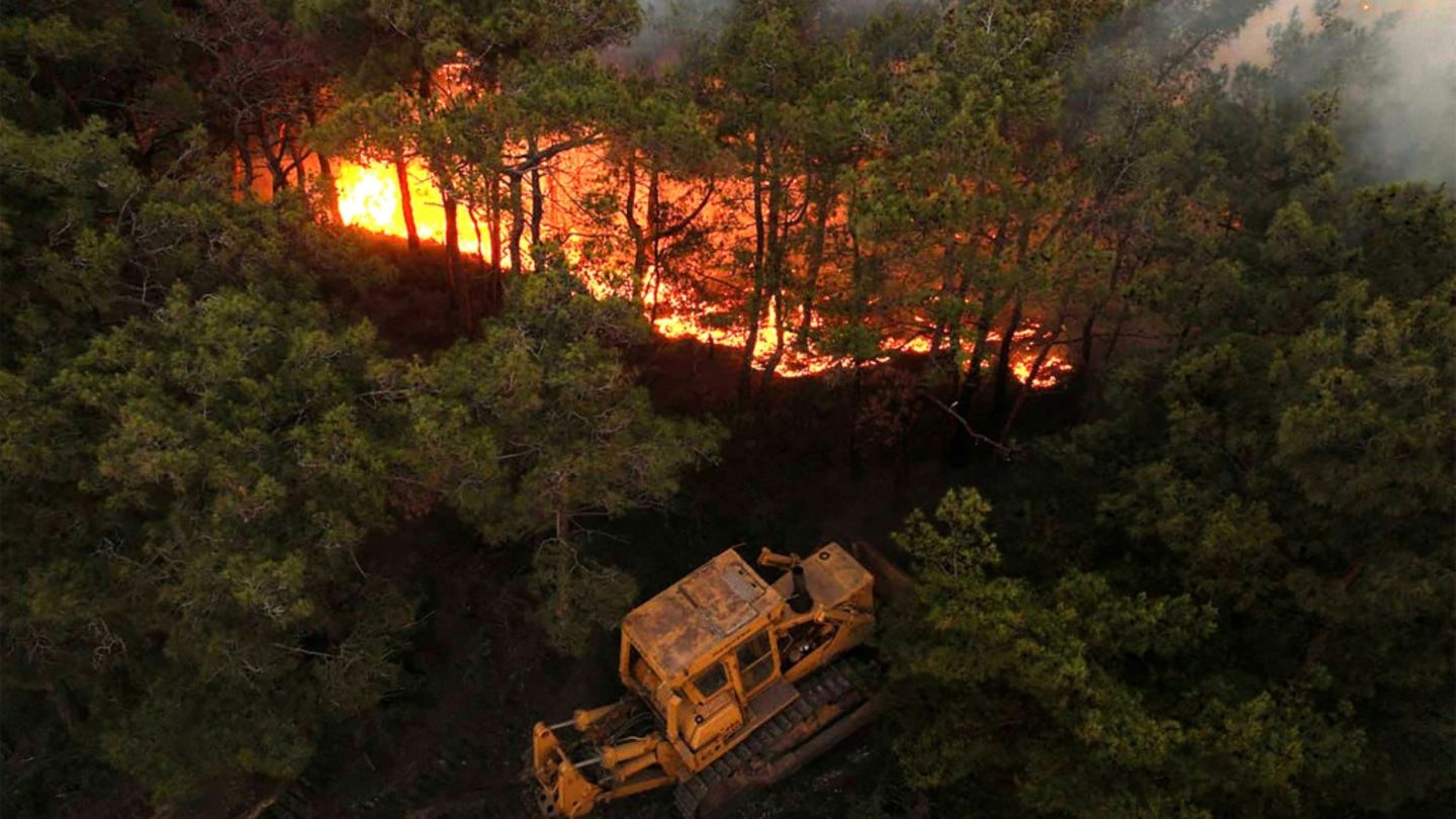 Waldbrände in syrischer Küstenregion Latakia – Minen erschweren Löscharbeiten