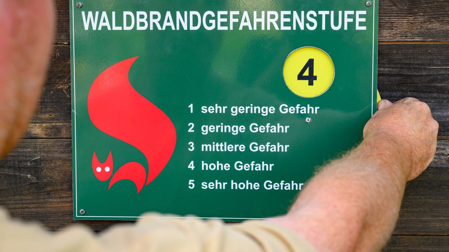 Brände: Waldbrandgefahr steigt in Brandenburg am Wochenende wieder
