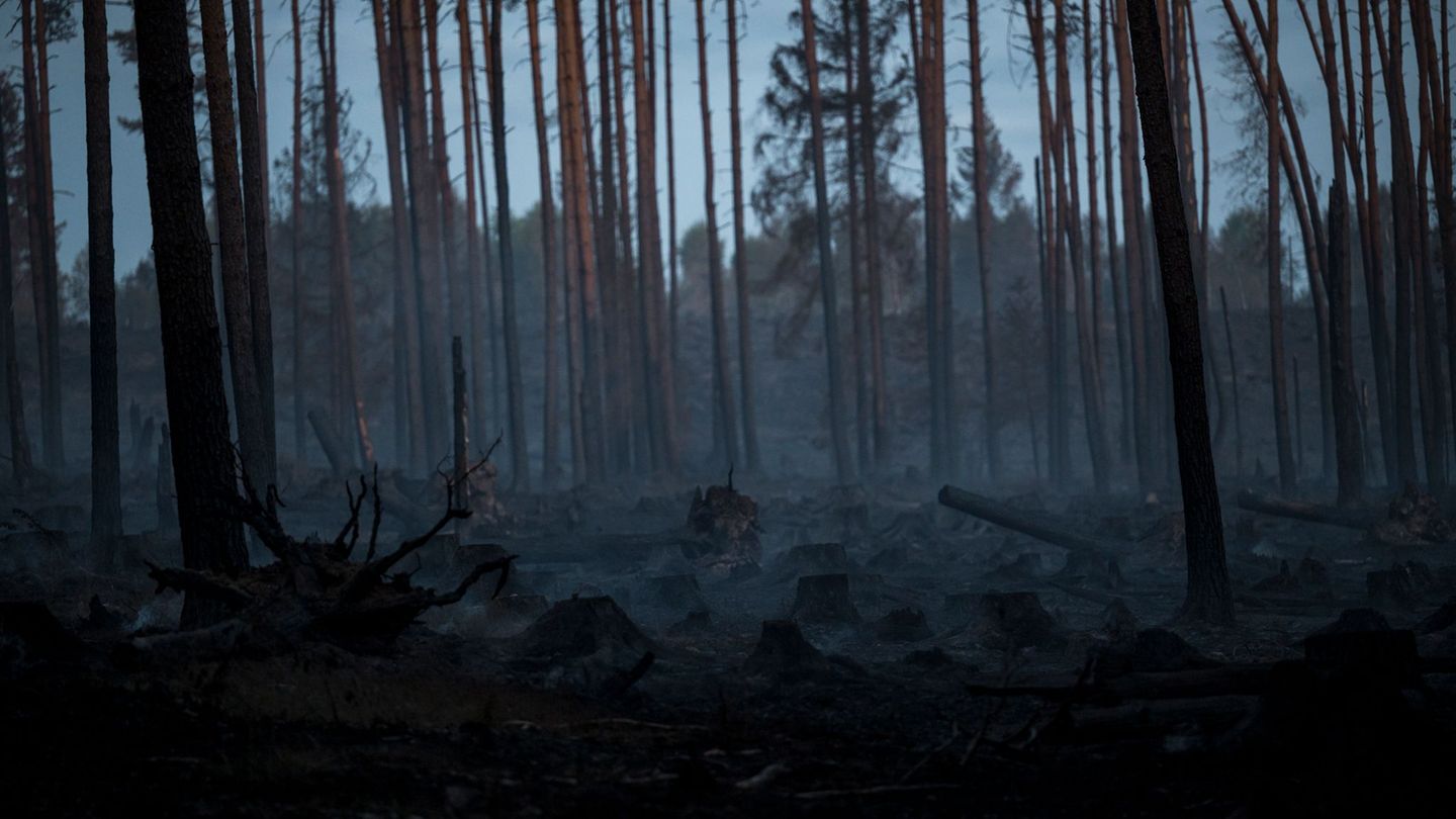 Waldbrände: Keine Ausweitung bei Waldbrand auf der Saalfelder Höhe