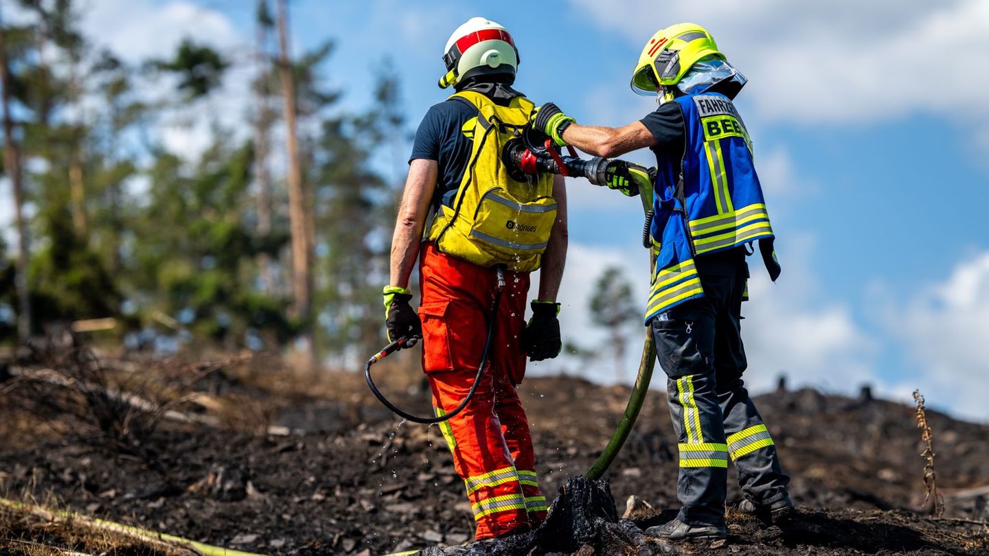 Feuer: Waldbrände in Sachsen und Thüringen – Großeinsätze dauern an