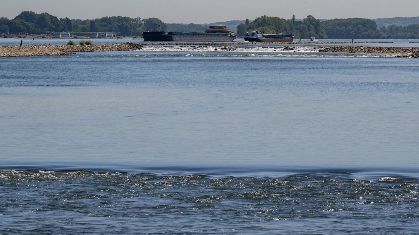 Umwelt: Wasser im Rhein 27 Grad warm – weitere Warnstufe erreicht