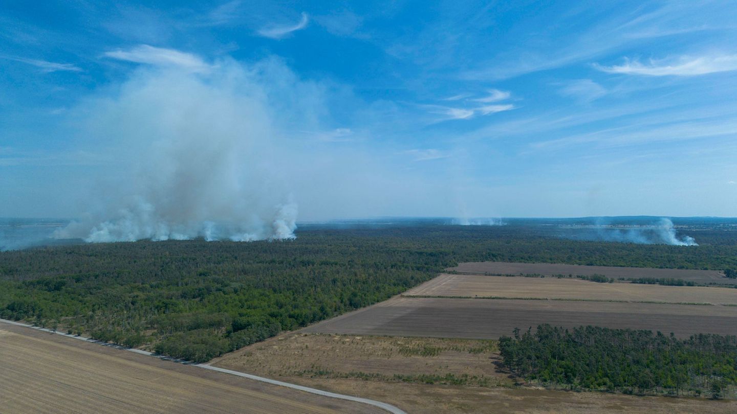 Waldbrand: Brandenburg hilft Sachsen im Kampf gegen Waldbrand