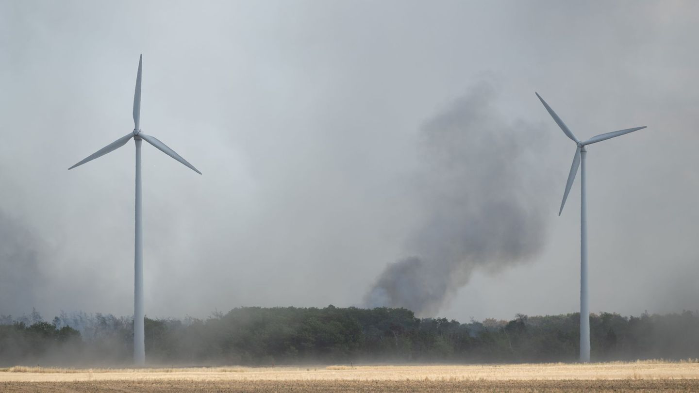 Waldbrand: Wind dreht Richtung Brandenburg – Warnung vor Brandgeruch