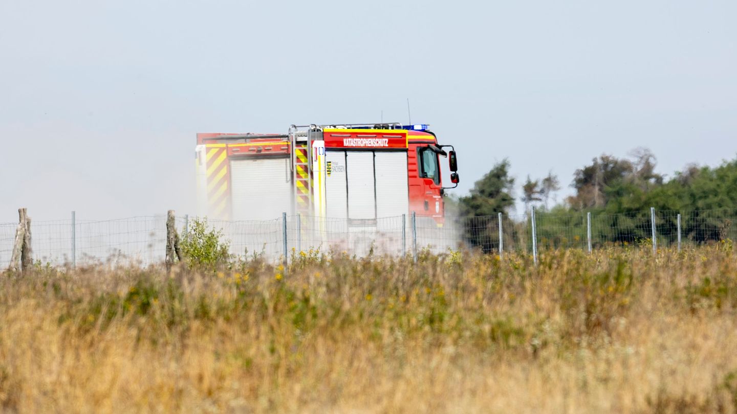Waldbrand: Waldbrand: Gemeinde Zeithain sammelt Geldspenden