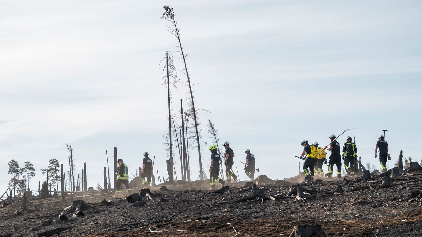 Freiwillige Helfer: Große Hilfsbereitschaft bei Waldbrand auf Saalfelder Höhe