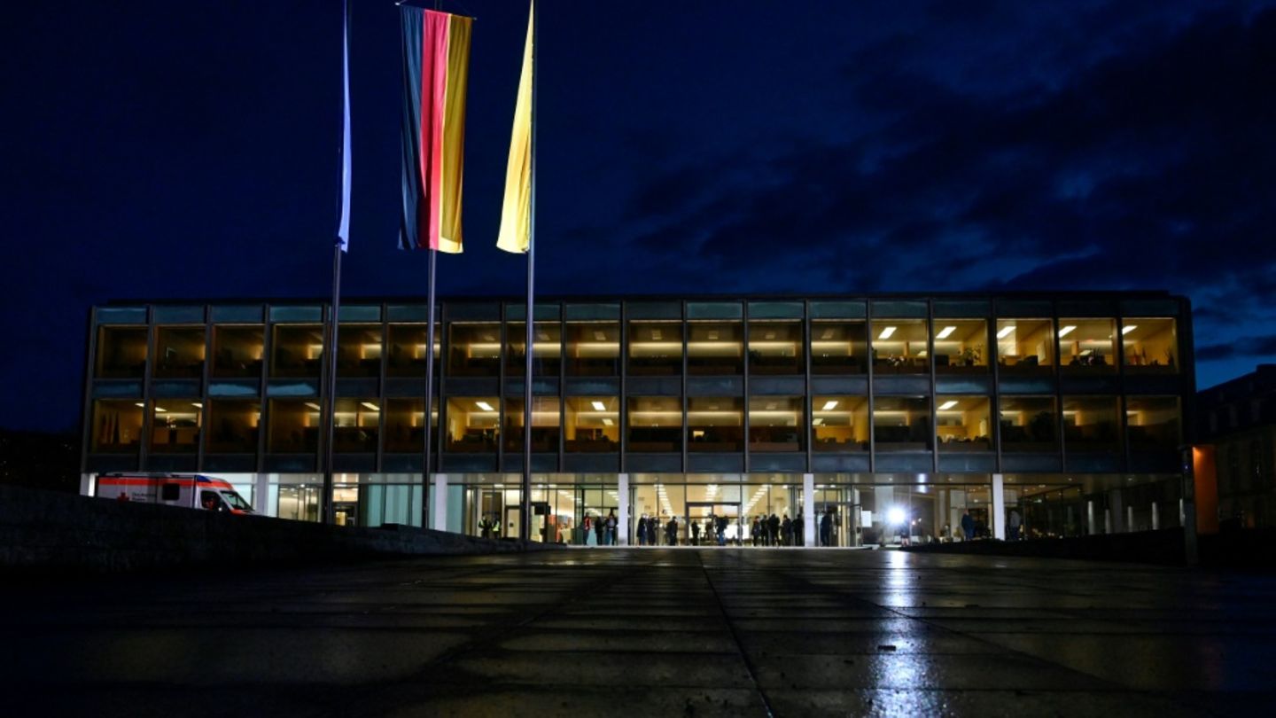 SPD und FDP in Baden-Württemberg wählen Spitzenkandidaten für Landtagswahl