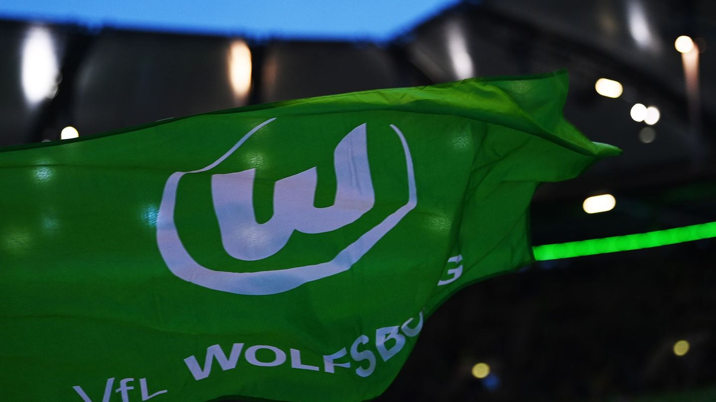 Fußball-Bundesliga: VfL Wolfsburg verpflichtet Vinicius de Souza Costa