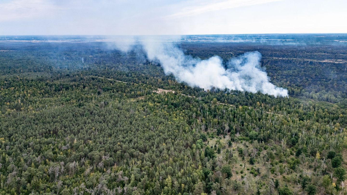 Waldbrand: Satellitenbilder sollen Ausmaß des Waldbrandes zeigen