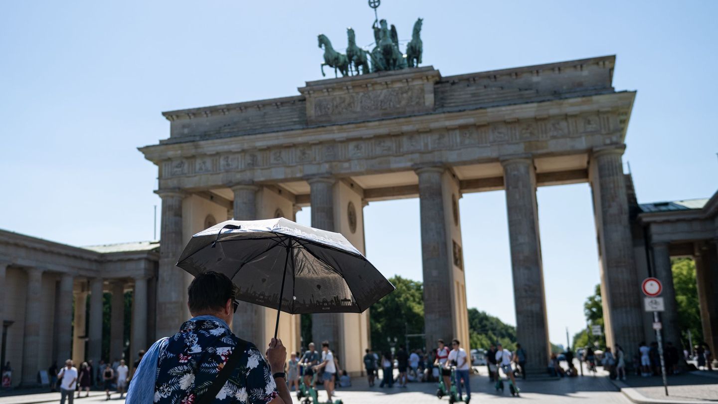 Klimawandel: CDU-Fraktion möchte Wald auf dem Tempelhofer Feld