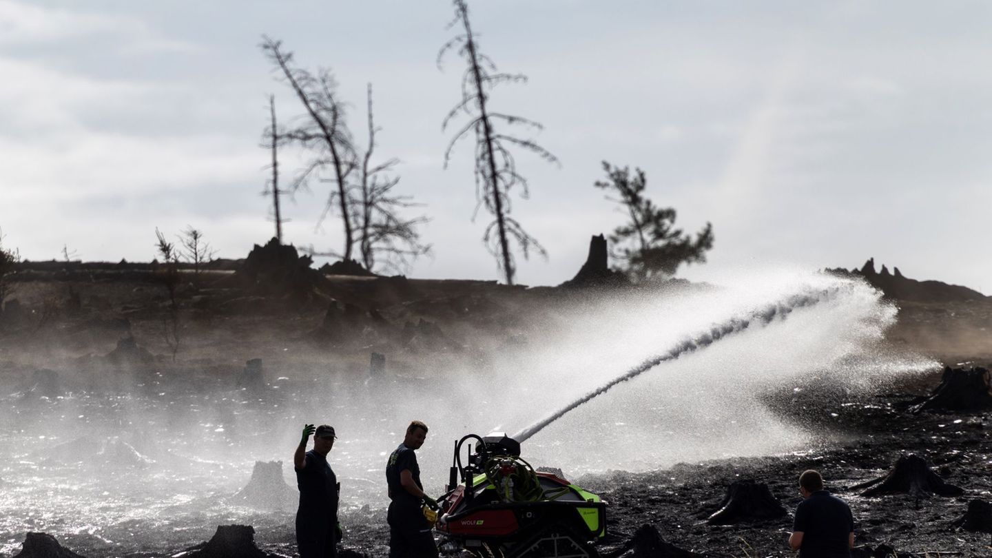 Saalfelder Höhe: Waldbrand bei Saalfeld wütet weiter – Hoffnung auf Regen