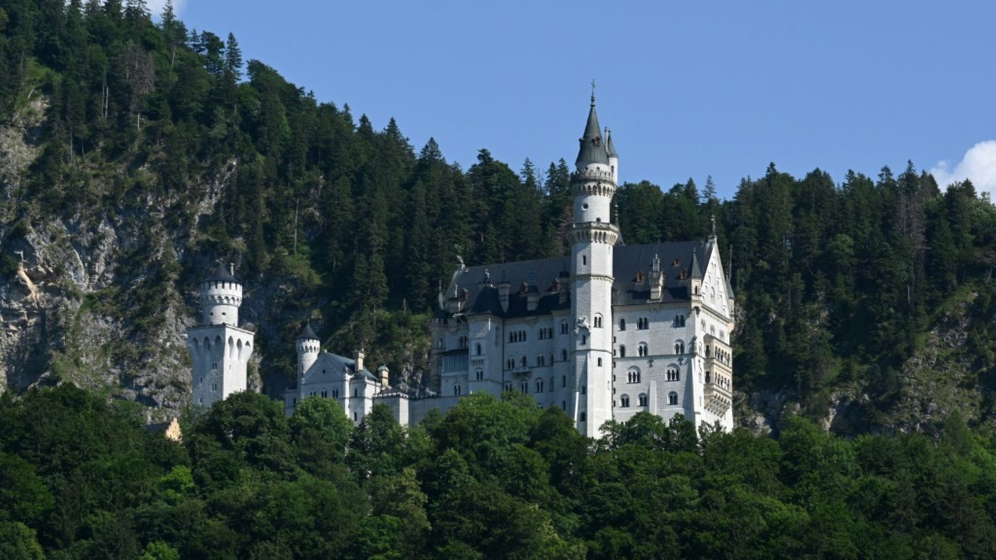 Touristin sperrt Hund in Schließfach – und besucht Neuschwanstein