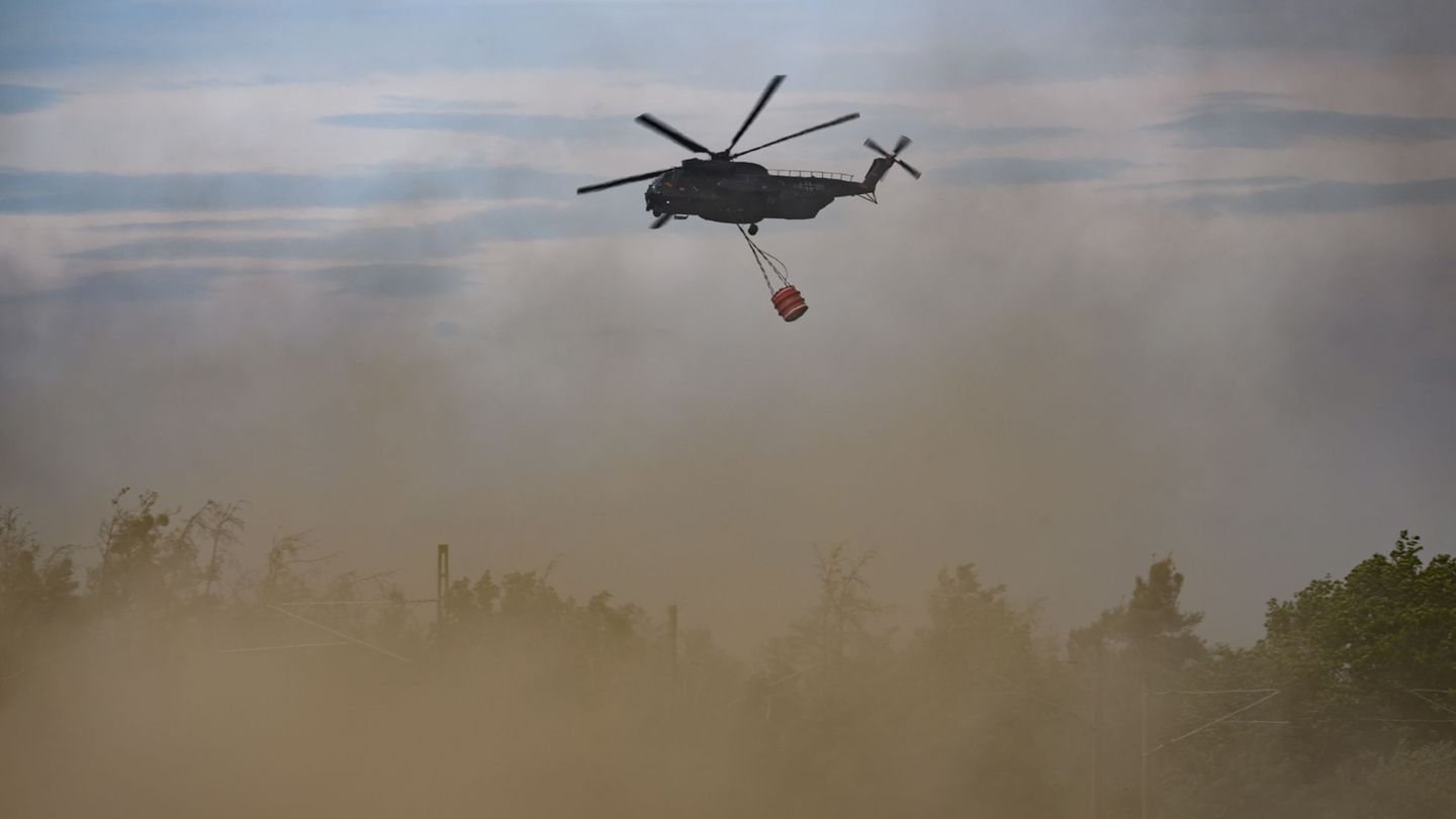Wetterausblick: Waldbrandlage in Brandenburg stabil – keine Entwarnung