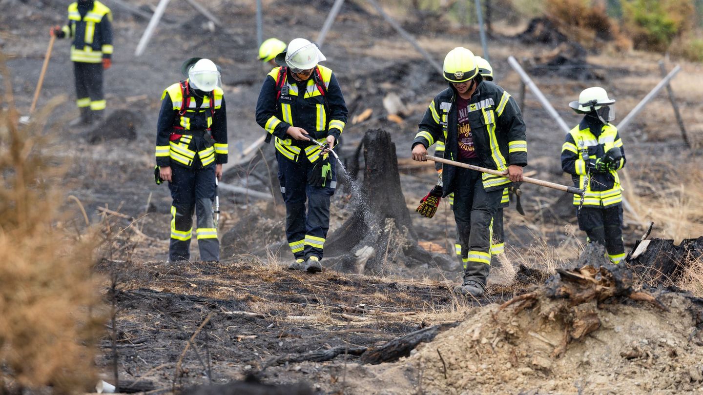 Waldbrände: Brand in Thüringen unter Kontrolle – Neue Taktik in Sachsen