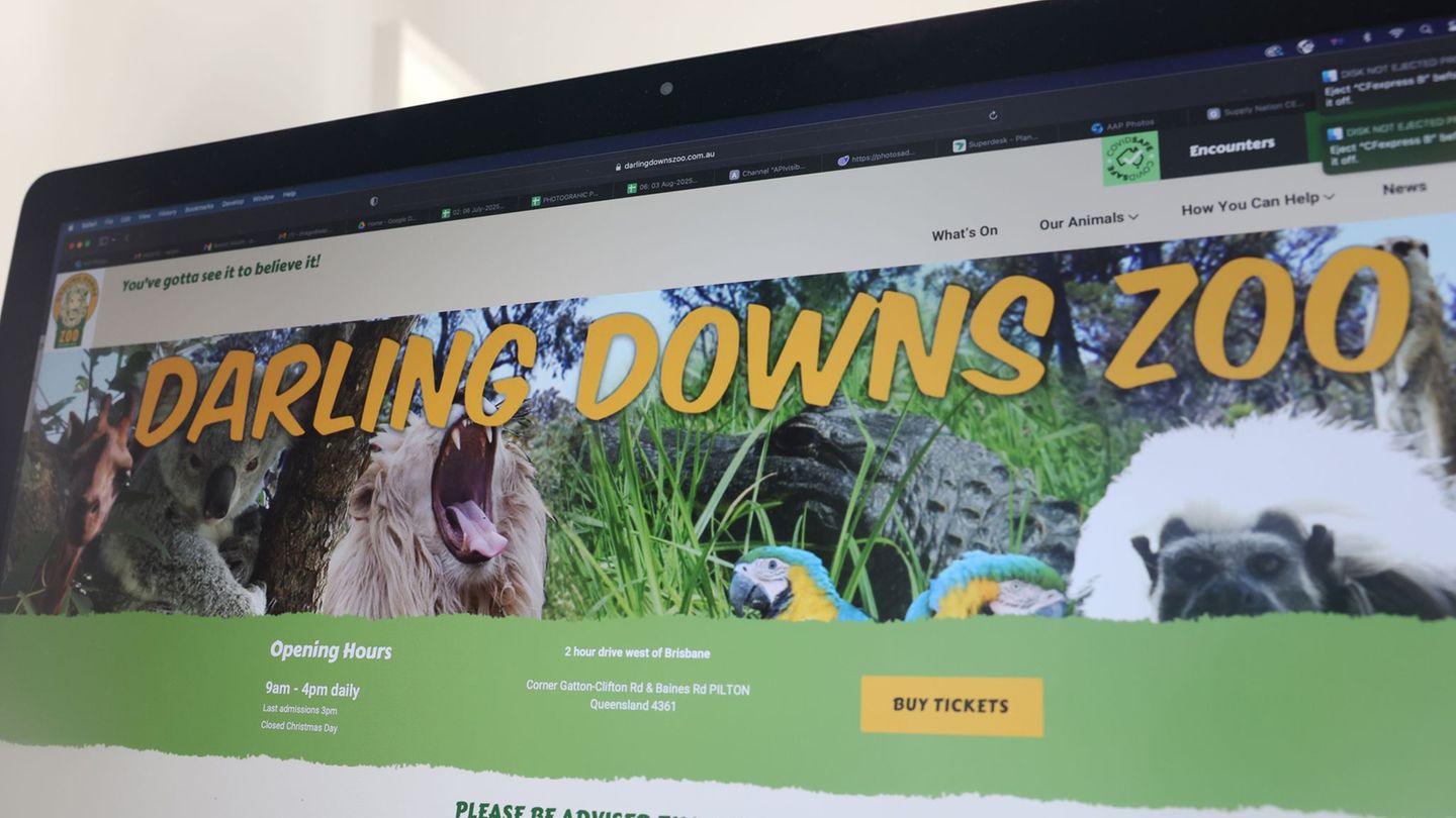 Notfall in Queensland: Löwen-Angriff in australischem Zoo: Frau verliert Arm